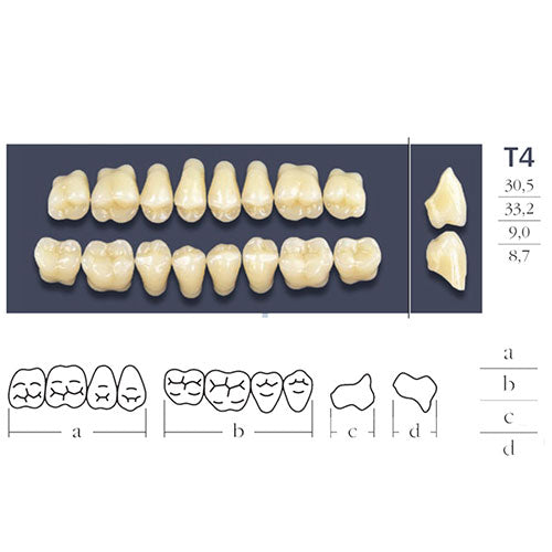 Micromotore dentale - Turbina da laboratorio – Massilia Dental -  Fournitures Dentaires