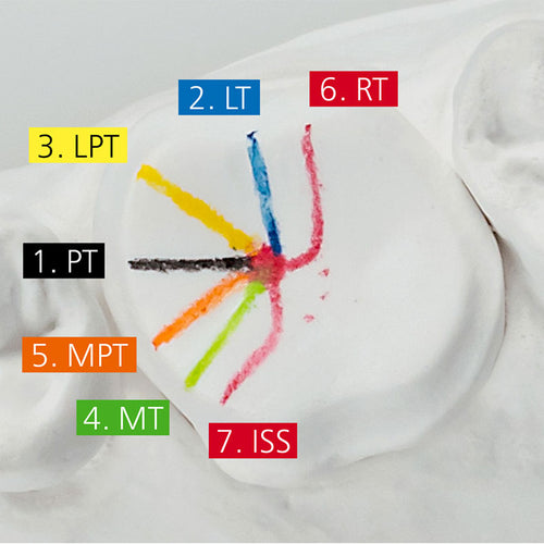 cire-a-modeler-renfert-expert-trace