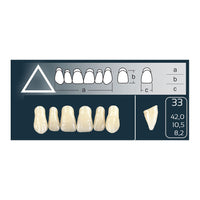 Dents Cross Linked Anterieures Haut Forme 33