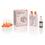 Gingifast CAD Rigid Fausse Gencive Zhermack