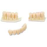 resine-3d-dima-denture-teeth-bridge