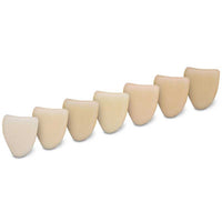 Résine Dima Print Denture Teeth Kulzer - Impression Couronnes Bridges.