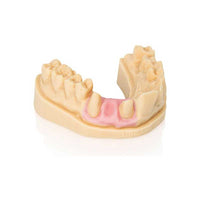 Resina 3D Kulzer 3D in pietra di stampa Dima - Stampa Modelli dentali beige