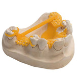 VARSEOWAX CAST resin fully Calcitable Smooth Smooth printing.