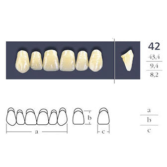 Cross Linked Square Anterior Teeth - Shape 42