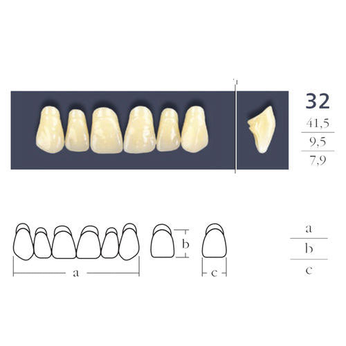 Cross-linked Teeth Triangular Shape 32