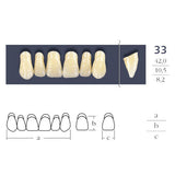 Teeth Cross Linked Triangular Shape 33.