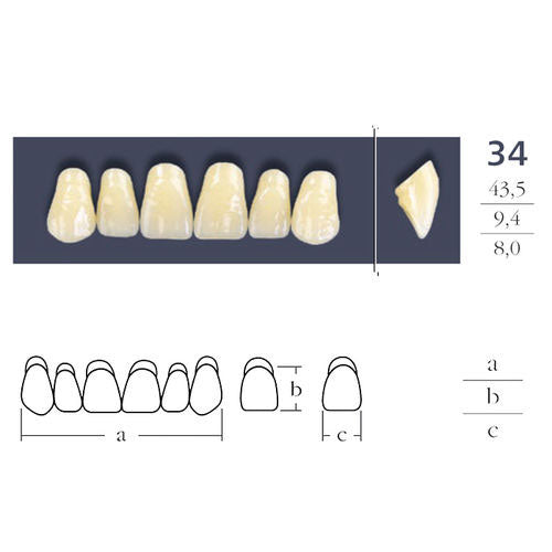 Dents  Cross Linked Triangulaire Carrée - Forme 34 - Teintes au choix.