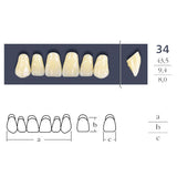 Dents  Cross Linked Triangulaire Carrée - Forme 34 - Teintes au choix.